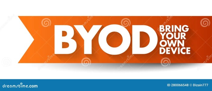 BYOD Bring Your Own Device - Policy that Allows Employees in an ...
